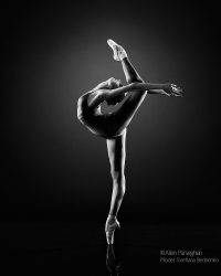 Parseghian Photography