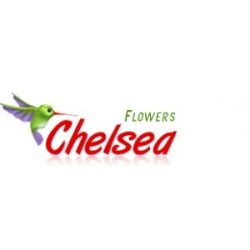 Chelsea Flowers
